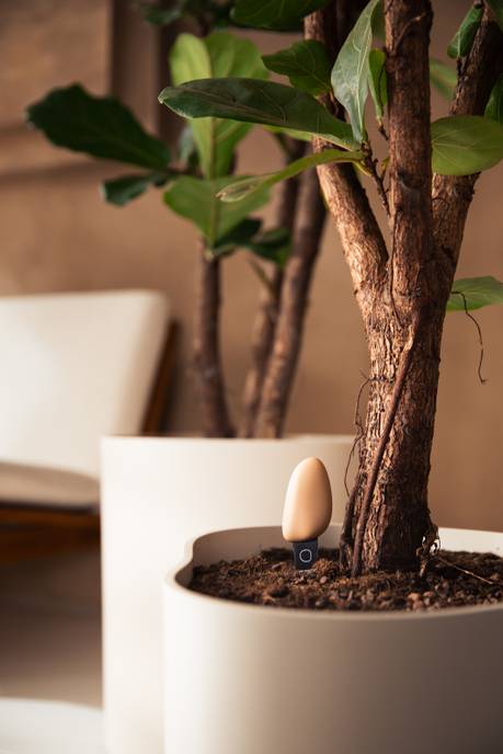 smart pebble aardebruin